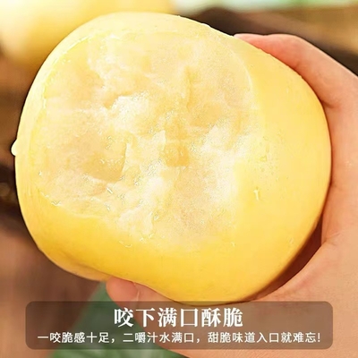 正宗烟台黄金奶油富士苹果新鲜水果应季冰糖心脆甜多汁整箱批发