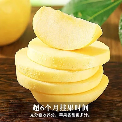 正宗烟台黄金奶油富士苹果新鲜水果应季冰糖心脆甜多汁整箱批发