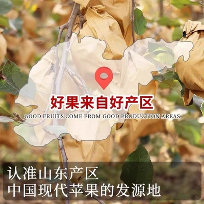 正宗烟台黄金奶油富士苹果新鲜水果应季冰糖心脆甜多汁整箱批发