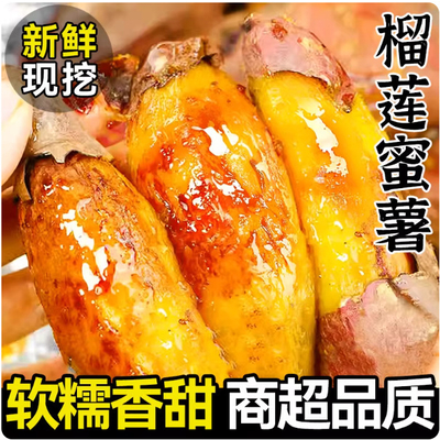 正宗榴莲蜜薯新鲜现挖粉糯香甜代餐粗粮基地直供