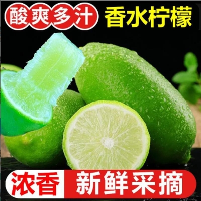 广西无籽香水柠檬现摘爆香皮薄多汁奶茶店手打柠檬茶产地直发批发