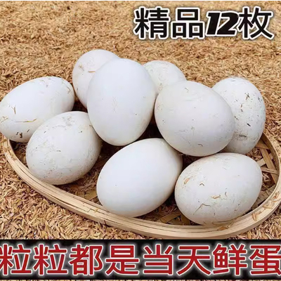 农家散养土鹅蛋正宗特产现捡现发