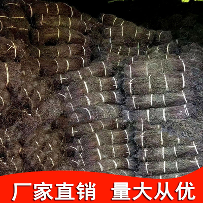 粿草汁仙人仙草龟苓膏新鲜烧仙草草干仙草冻草黑凉粉干粄草