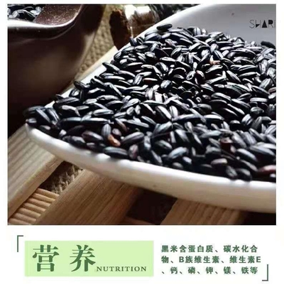东北黑米糯五常紫米