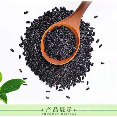东北黑米糯五常紫米